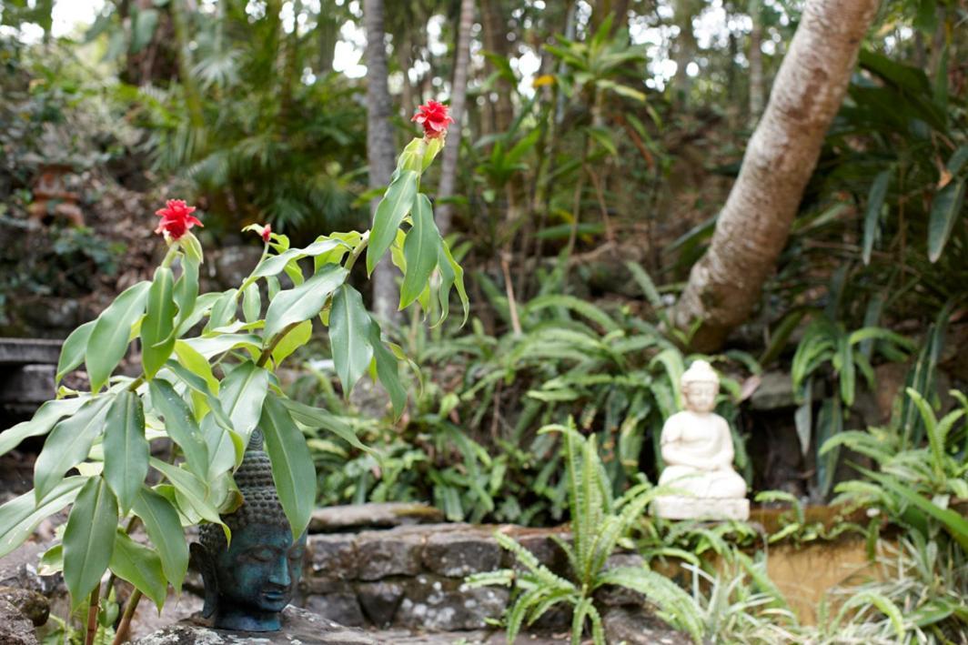 Garden Burees Villa Byron Bay Exterior photo